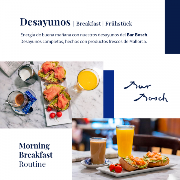 Desayunos Feed Bosch